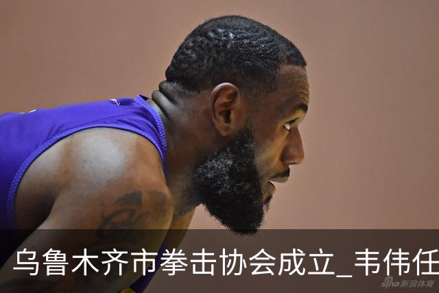 乌鲁木齐市拳击协会成立 韦伟任会长